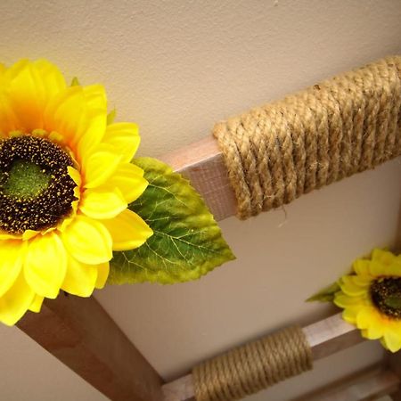 Sunrise Studio ทิมิชัวรา ภายนอก รูปภาพ