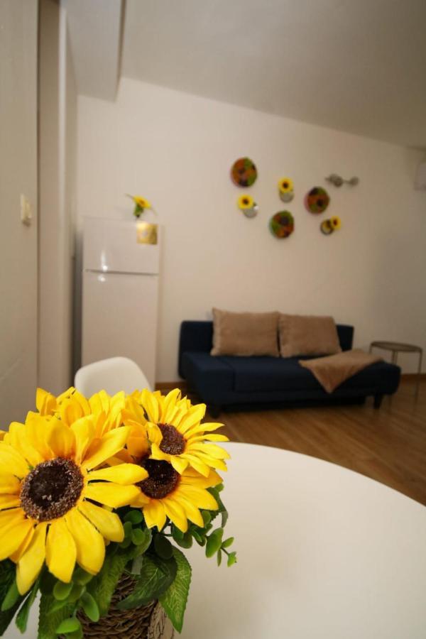 Sunrise Studio ทิมิชัวรา ภายนอก รูปภาพ